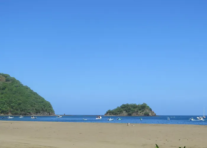 Coco Palms