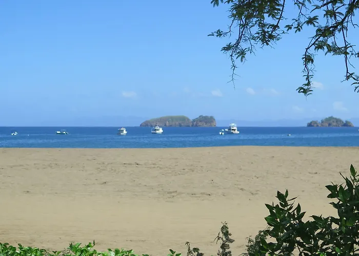 Coco Palms 3*