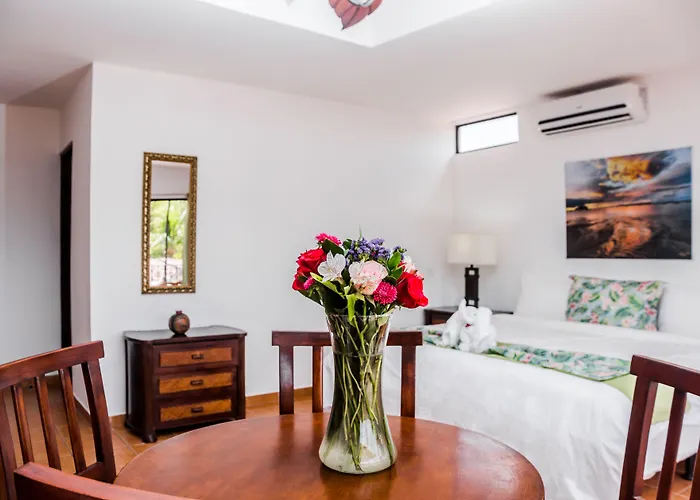 Hotel Coco Palms 3*